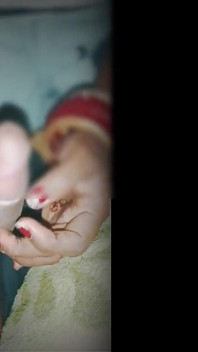 Мінет у мого зведеного брата, повне задоволення