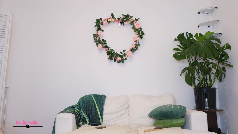 Destination Kat: 不穿裤子给你看我的植物