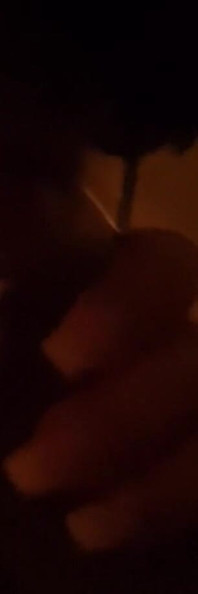 Loving Sucking His Dick Emotions