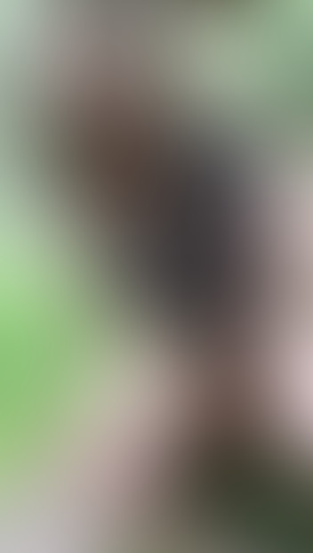 Locked due to age restriction