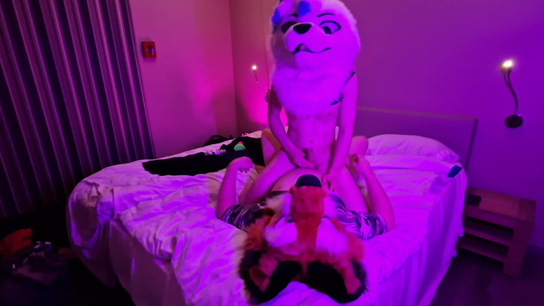 Matthew Fox Be: 매튜가 장난꾸러기 스나우플레이크와 놀고 있습니다