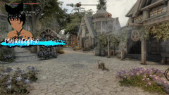 Manor Cookie: Skyrim B와 L Mod - 동료들과 함께 가서 Ria와 Njada 따먹기