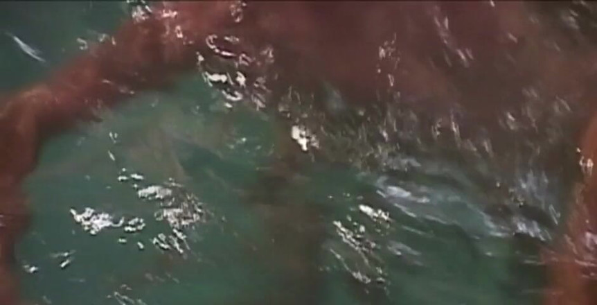 Latino Boys Studio: Dobré ráno... Začněme týden silnou orgií skvělého kluka ... Jan Novotný...