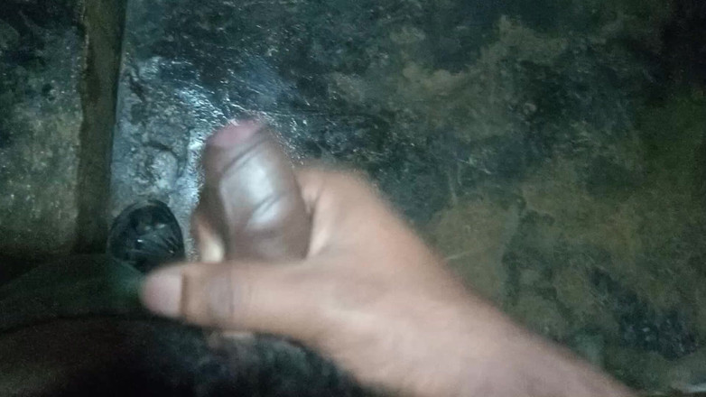 John Denver: Desi Solo