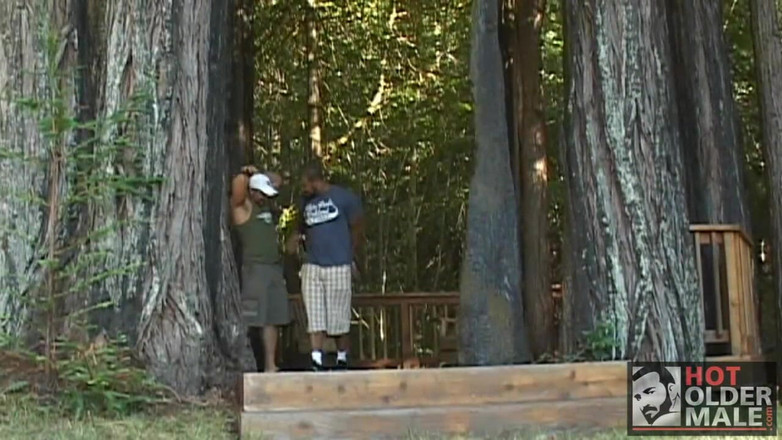 Pantheon men: Osos de madera: Marc y Roman