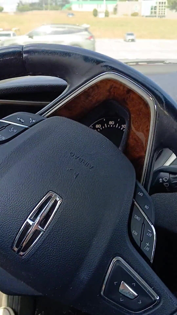 Elianna: Ellie la porcellina