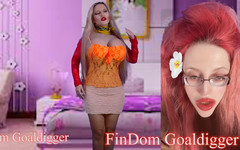 FinDom Goaldigger: Jsem jedinečný