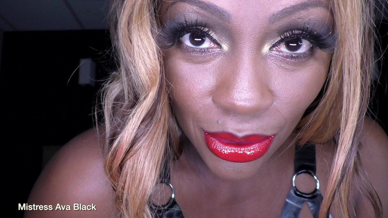 Mistress Ava Black: Beta Bait