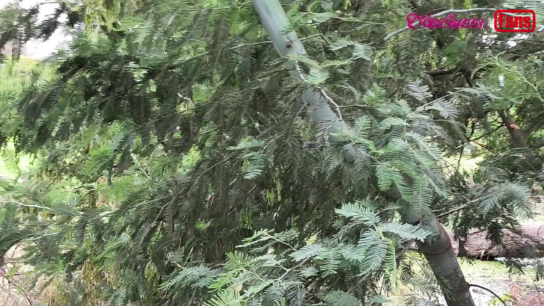 Riderqueen: Šukání s mladým mužem, s velkým ptákem, videa pro mé...