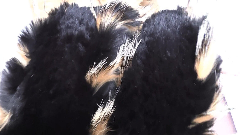 Lady Victoria Valente: Pelatihan ejakulasi: mengendus syal bulu dan cumshot, Lady Victoria Valente