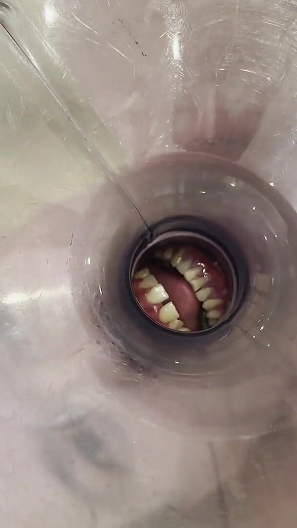 Toilet User (Christina Ventura)