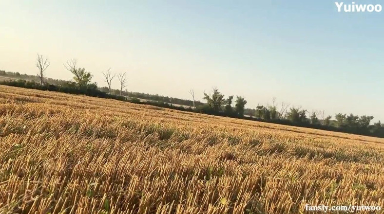 Yuiwoo: Met and fucked a Naked Stranger in nature