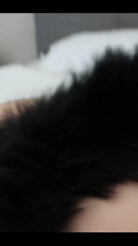 Une chatte exhibe sa chatte