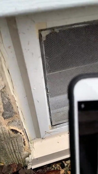 Capturados se masturbando por namorado