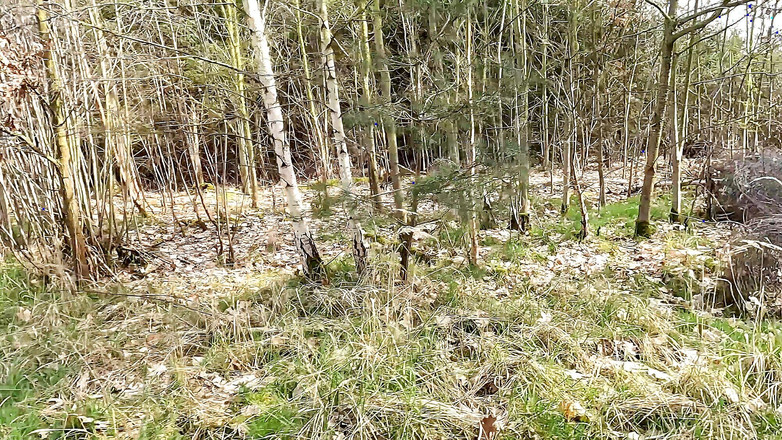 Bouncy Tits Action: Tette sulla scala schiaffeggiata rossa