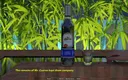 Porny Games: Welcome to Miskonyos by Picaro Games - Breeding a Lesbian Couple,...