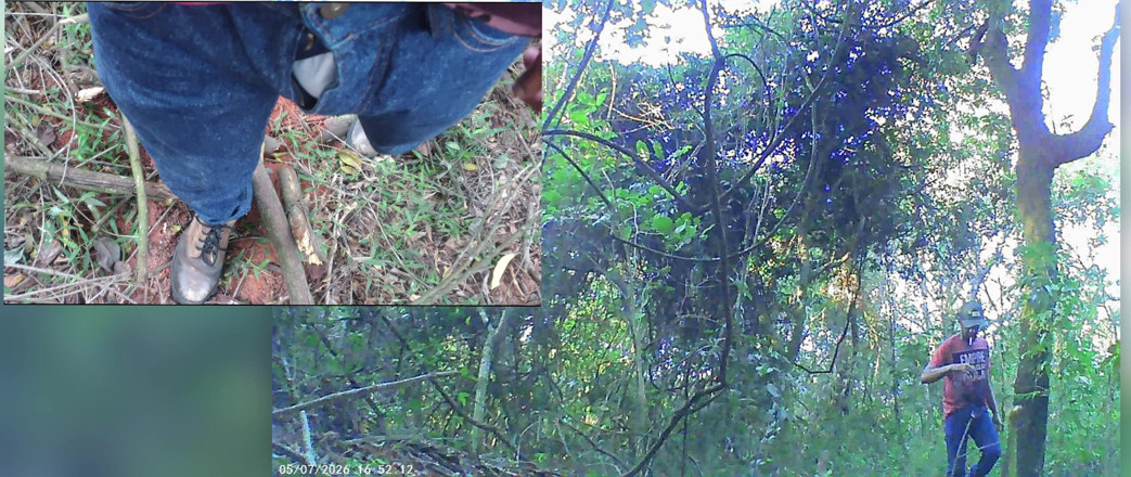 Stink HairyMale: Cerco un posto nel bosco dove venire