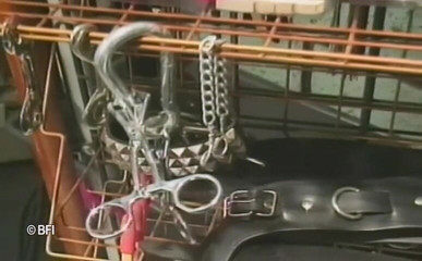 Art of Bondage: Virgem escravidão - DVD