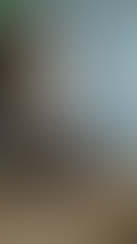 Masturbations in My Bathroom