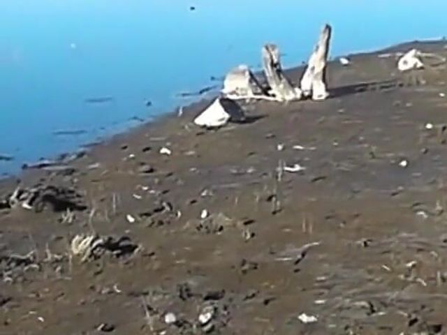 Amateur Latina Flashing Pussy and Ass River Bank (Argentina Latina Amateurs)