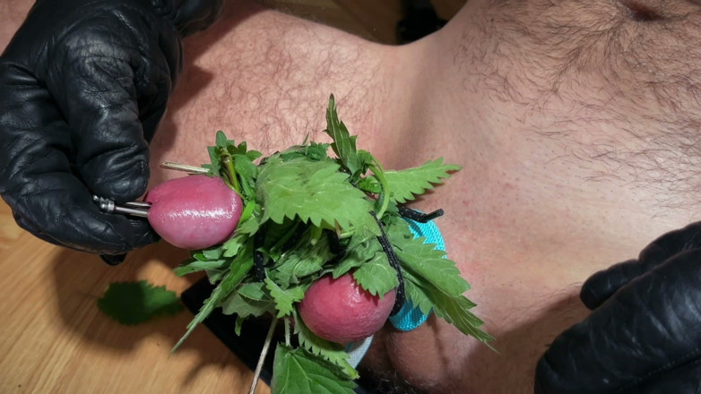cbtLove: Sperma med nässlor inuti kuk