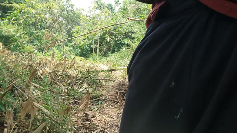 DesiDarkArt: Mentre vagava nel campo, iniziò a colpire l'elsa
