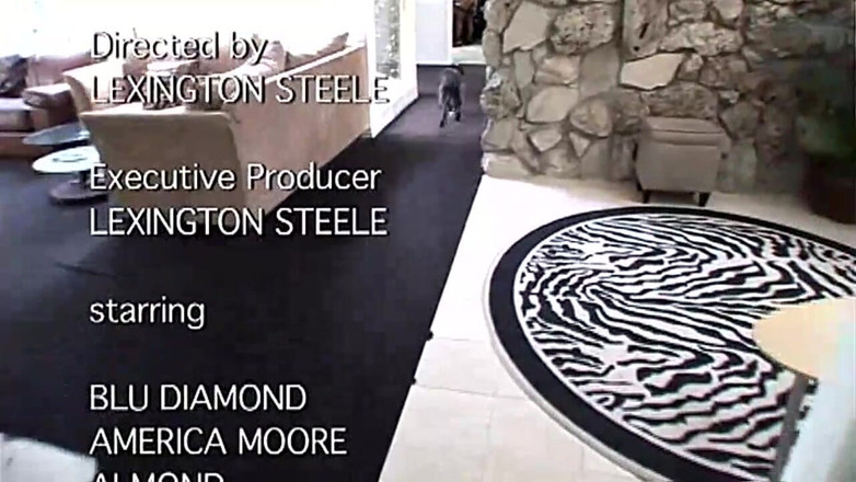 FM Video films: 음산하고 변태적인 성적 이야기들!! - 볼륨 #02