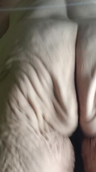 I Want That Cock Now