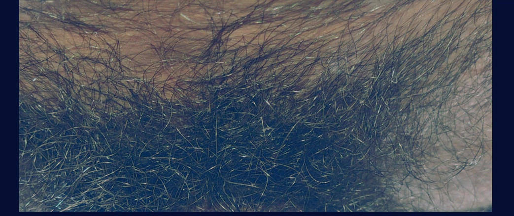 Stink HairyMale: Gozada Através Da Zorba