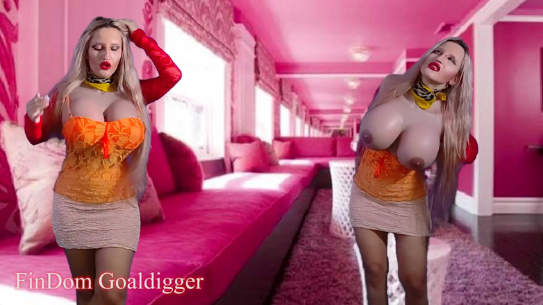 FinDom Goaldigger: 看不见的目击者撸管指挥电脑游戏