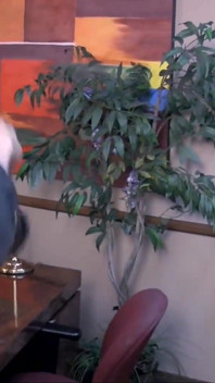 Une Bombasse Poilue PAWG Jouit Sur Une Baise Touffue! Vintage