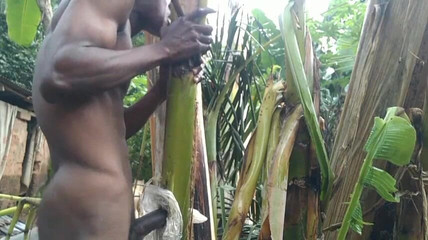 Bangcum8: Pria ini lagi sendirian di hutan dan membuat pohon pisang...