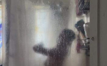 Just Singing in the Shower
