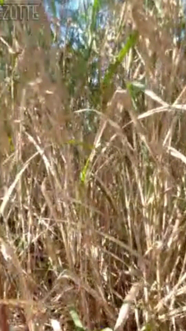 Prezottes_House: Here You Will Find a Way to Maintain Your Sex...