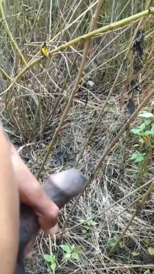 Desi Tits: Compilación de corridas al aire libre en la jungla