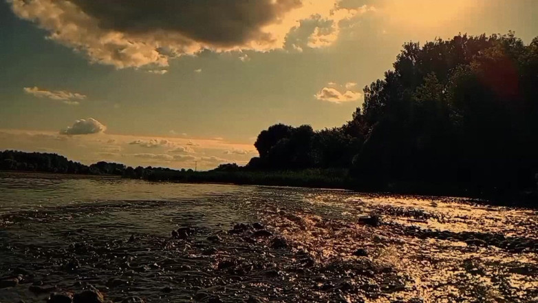 Fish Cam: Twink renunță la pescuit și a mers goală în pădure masturbându-i pula