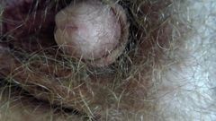 Au79: Pokus o přiblížit se