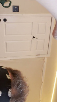 Hot Couple Fucks