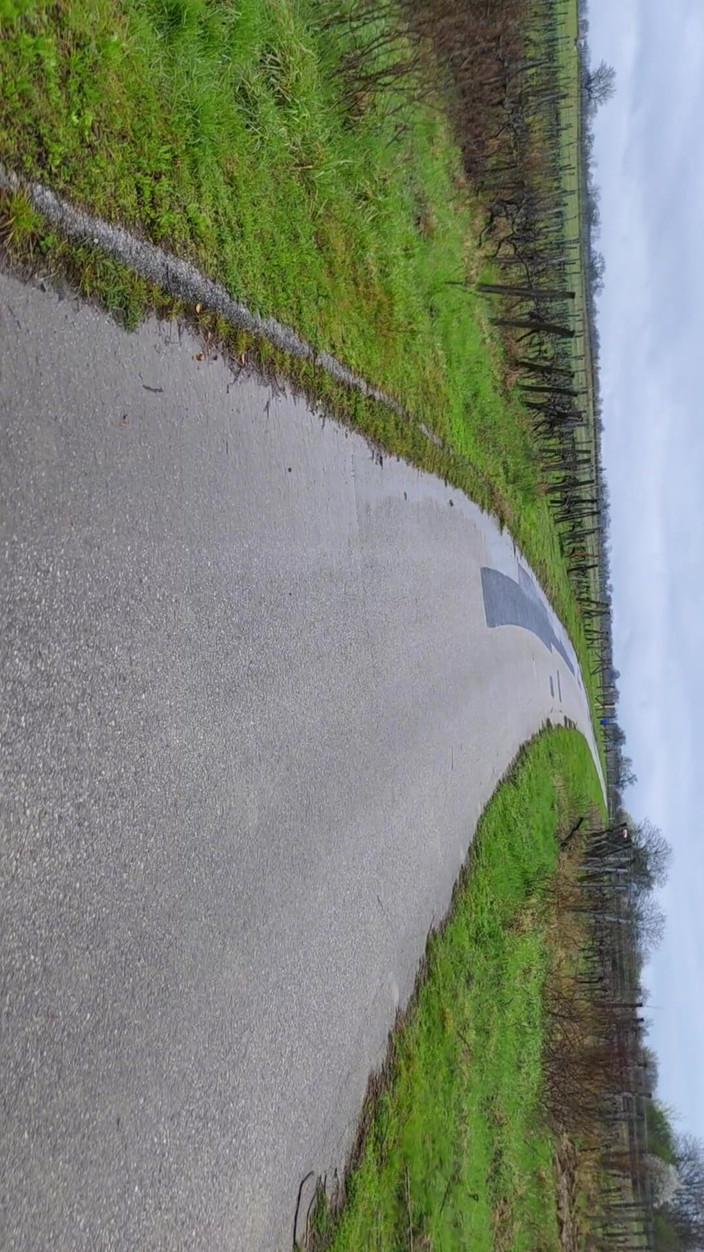 Bayer911: Pișare în aer liber în ploaie