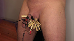 The Izars: CBT sodomizza e stima