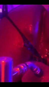 Fall/halloween Bundle