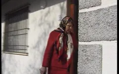 Disfruta x video vol. 17