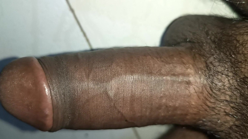Fun of Pussy Fucking (Hote solo) Fun of Pussy Fucking (Hote solo)
