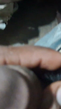 Land Cusna