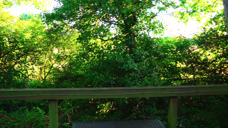 JessieHH: 새엄마와 함께하는 휴가