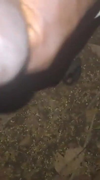 A Hot Big Black Cock Mastubating