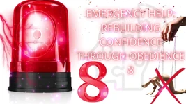 Emergency Help: Rebuilding Confidence Through Obedience 8