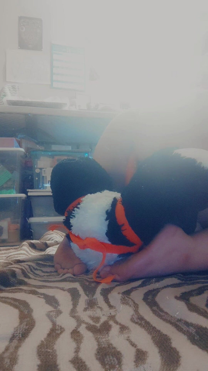 Domina Succubus: Fucking My Panda Stuffie (strap on)