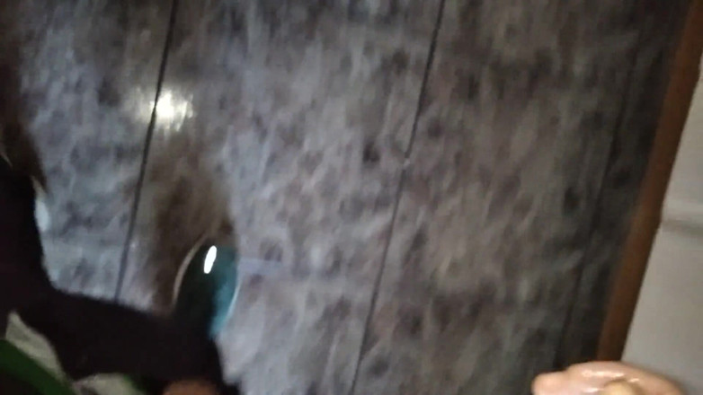 Elvissc: The Pig Masturbated in Front of the Neighborhood Window, Came...