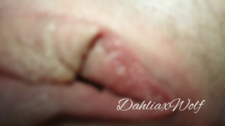 Dahlia Wolf: kloj ap malaeedaar choot
